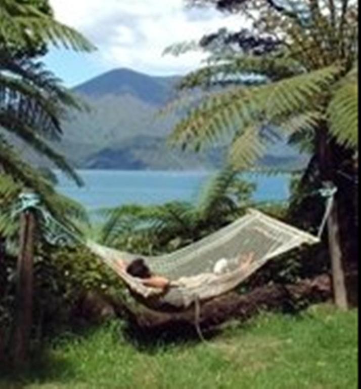 Lochmara Lodge - 20Mins By Boat From Picton Lochmara Bay Ngoại thất bức ảnh