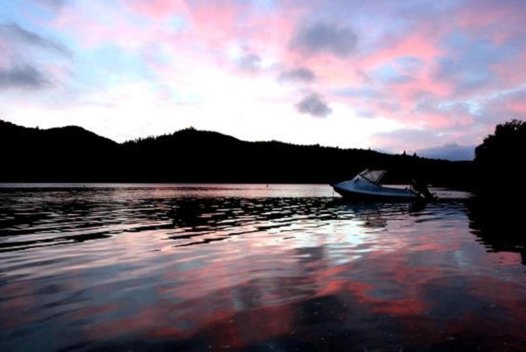 Lochmara Lodge - 20Mins By Boat From Picton Lochmara Bay Ngoại thất bức ảnh